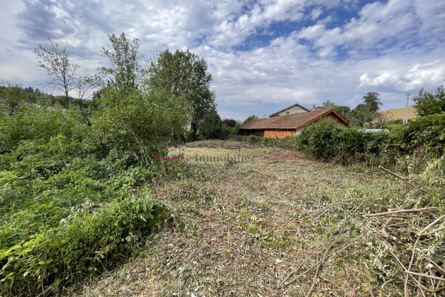 Terrain à vendre à Cours-la-Ville — Vue dégagée — photo 1
