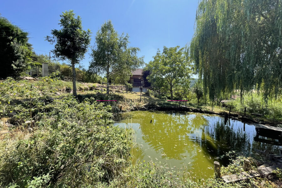 Maison à vendre à Charlieu — Vue nature — photo 3