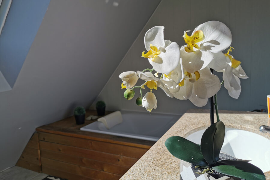 Maison à vendre à Saint-Avé — Vue dégagée — photo 9