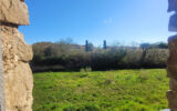Maison à vendre à Mailhac — Vue nature — photo 14
