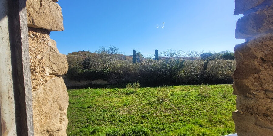 Maison à vendre à Mailhac — Vue nature — photo 14