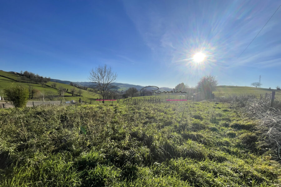 Maison à vendre à Amplepuis — Vue nature — photo 1