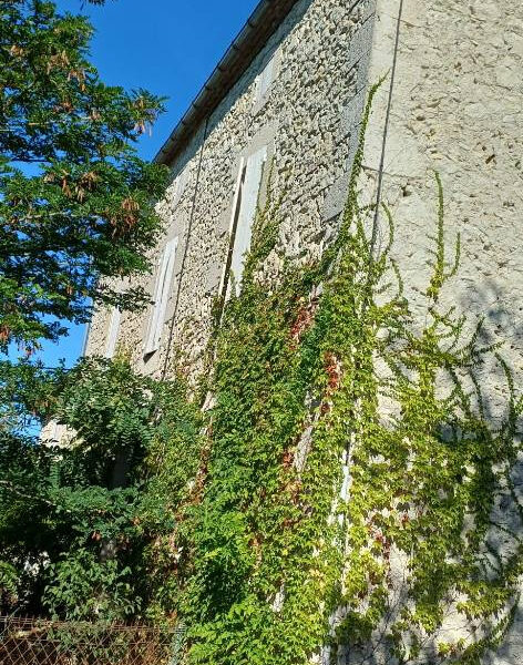 Maison à vendre à Saint-Mézard — Vue dégagée — photo 17