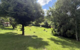 Maison à vendre à Cublize — Vue nature — photo 14