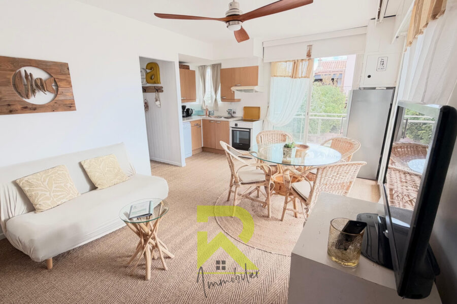 Maison à vendre à Agde — Vue marina & port — photo 13