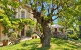 Maison à vendre à Tourrettes — Vue nature — photo 5