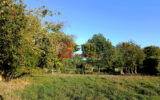 Maison à vendre à Le Parc — Vue nature — photo 6