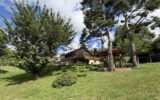 Maison à vendre à Cublize — Vue nature — photo 2