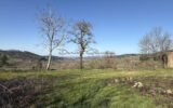 Maison à vendre à Cours-la-Ville — Vue nature — photo 10
