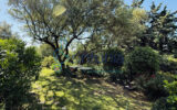 Maison à vendre à Uzès — Vue nature — photo 14