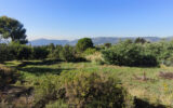 Terrain à vendre à Berre-les-Alpes — Vue montagne — photo 2
