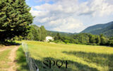 Maison à vendre à Montbrun-les-Bains — Vue nature — photo 9