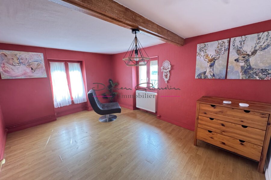 Maison à vendre à Saint-Victor-sur-Rhins — Vue nature — photo 11