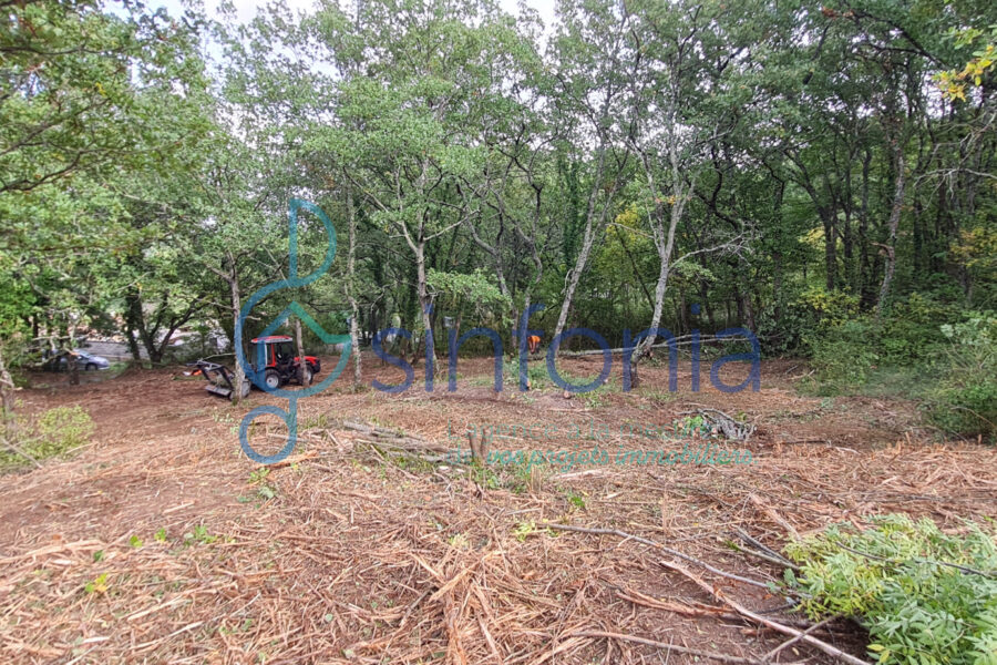 Terrain à vendre à Pougnadoresse — photo 14