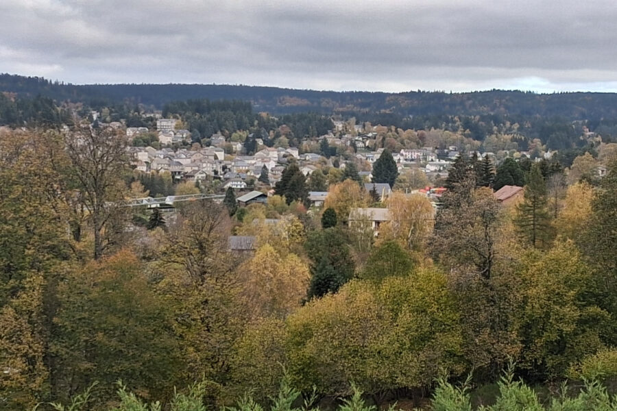 Maison à vendre à Le Chambon-sur-Lignon — Vue sur la ville — photo 1