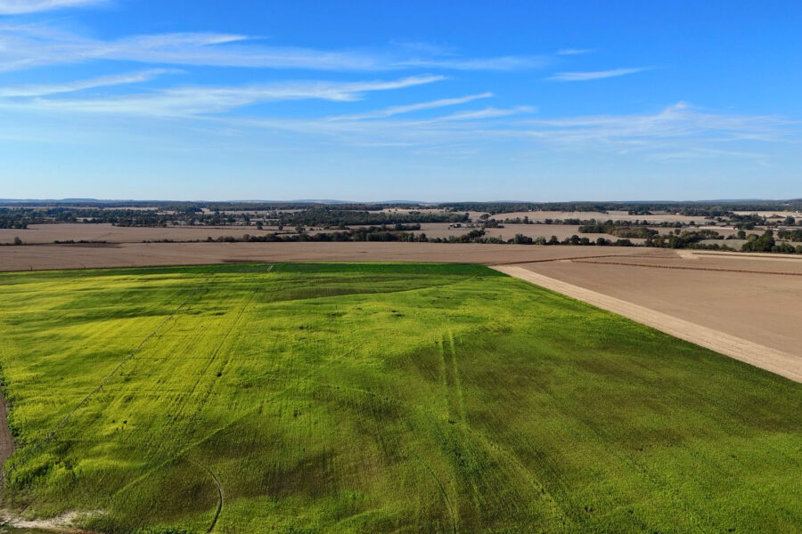 Terrain à vendre à Herry — Vue fleuve — photo 2