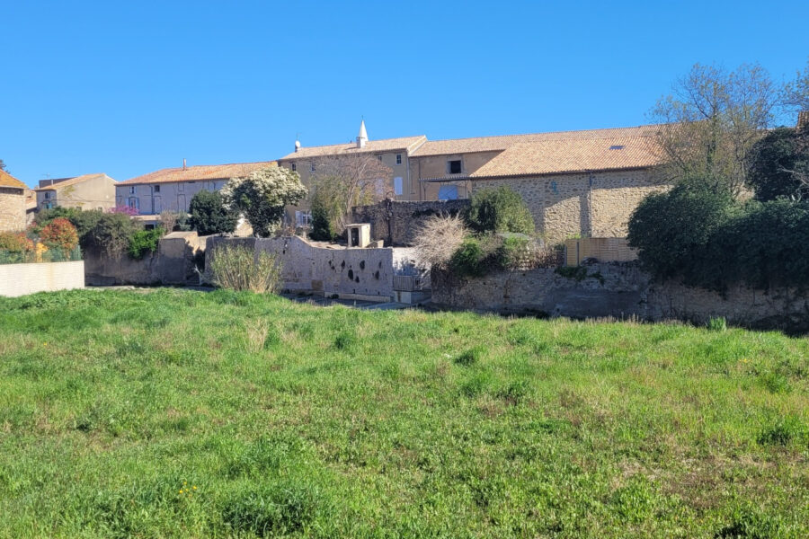 Maison à vendre à Mailhac — Vue nature — photo 8