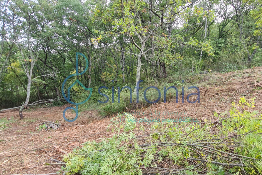 Terrain à vendre à Pougnadoresse — photo 13