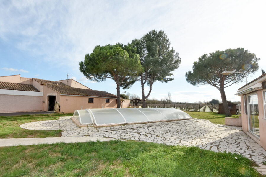 Maison à vendre à Coursan — Vue vignes — photo 4