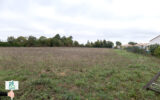 Terrain à vendre à Chasnais — Vue nature — photo 6