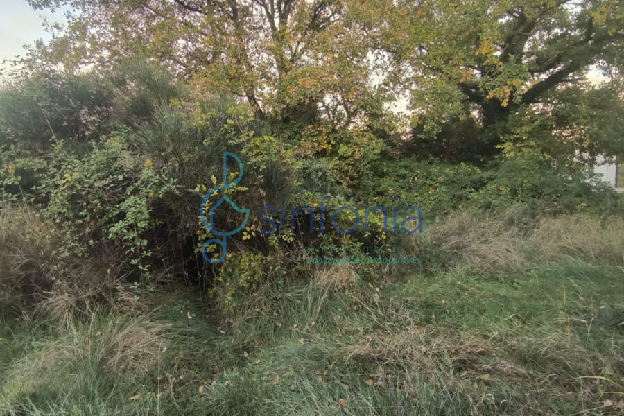 Terrain à vendre à Saint-Geniès-de-Malgoirès — photo 2