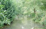 Terrain à vendre à Monthou-sur-Bièvre — Vue nature — photo 11