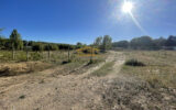 Terrain à vendre à Fabrègues — Vue nature — photo 9