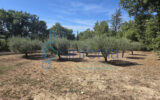Maison à vendre à Saint-Jean-de-Maruéjols-et-Avéjan — Vue nature — photo 18