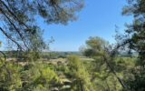 Maison à vendre à Pézenas — Vue nature — photo 10