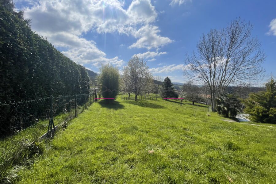 Terrain à vendre à Cublize — Vue nature — photo 4
