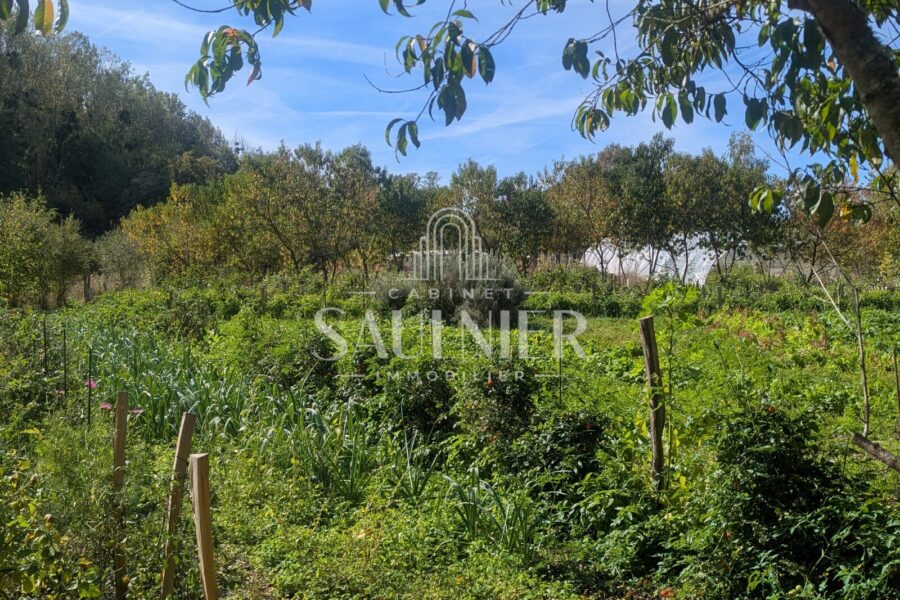 Terrain à vendre à Monthou-sur-Bièvre — Vue nature — photo 3