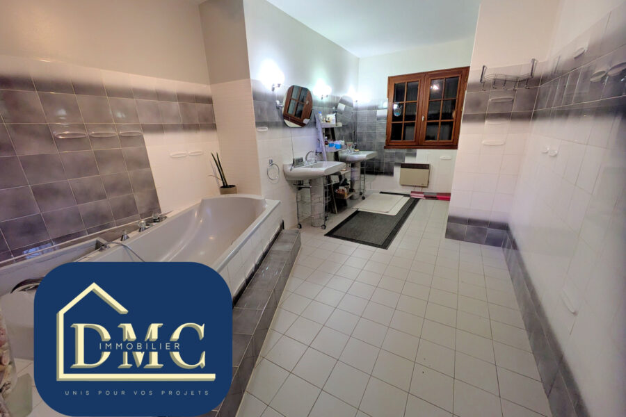 Maison à vendre à Auterive — Vue dégagée — photo 12