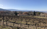 Maison à vendre à Bonnieux — Vue vignes — photo 1