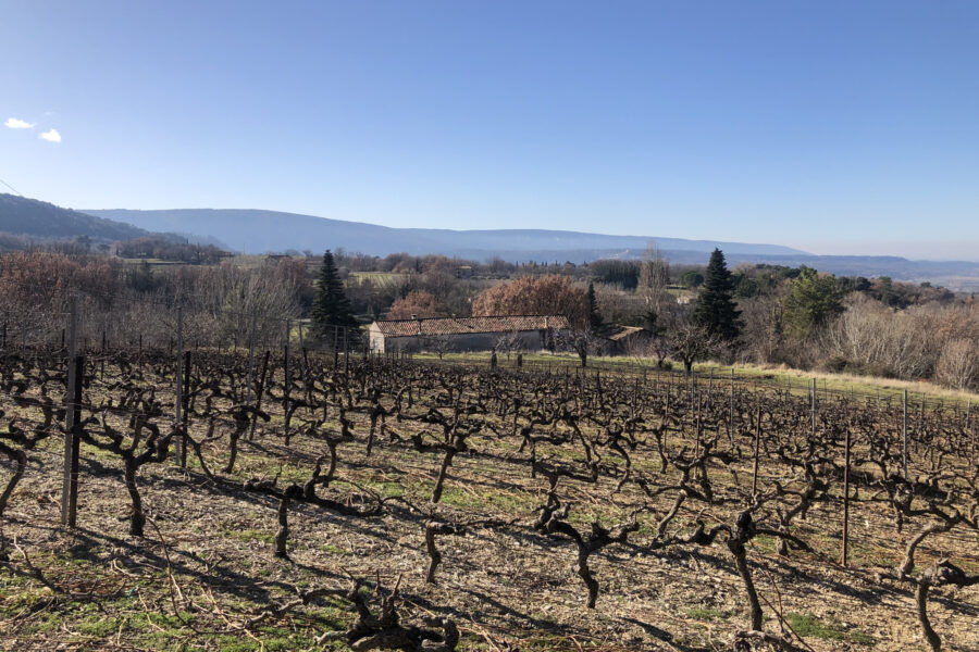 Maison à vendre à Bonnieux — Vue vignes — photo 1