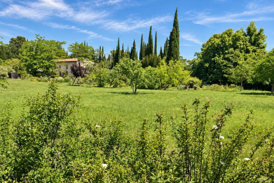 Maison à vendre à Tourrettes — Vue nature — photo 14
