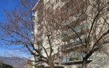 Appartement à vendre à Grenoble — Vue montagne — photo 4