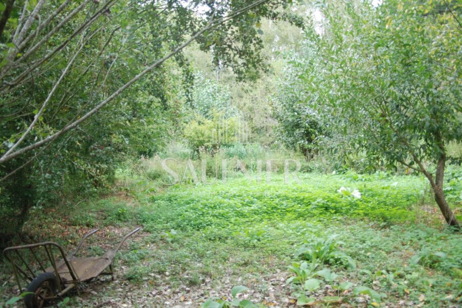 Terrain à vendre à Monthou-sur-Bièvre — Vue nature — photo 12