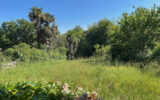 Maison à vendre à Montfort-en-Chalosse — Vue nature — photo 13
