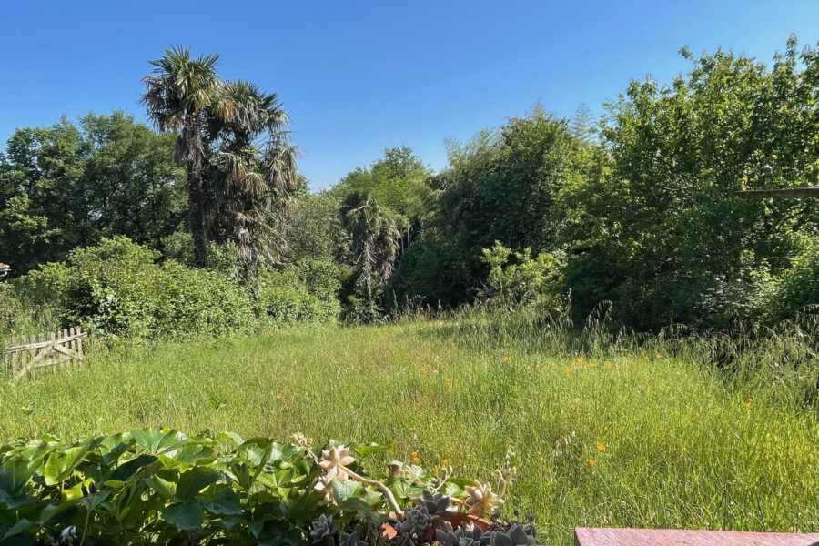 Maison à vendre à Montfort-en-Chalosse — Vue nature — photo 13