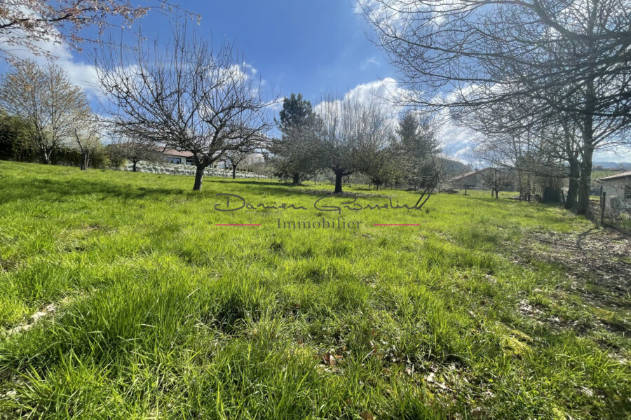 Terrain à vendre à Cublize — Vue nature — photo 6