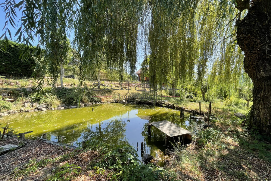 Maison à vendre à Charlieu — Vue nature — photo 10