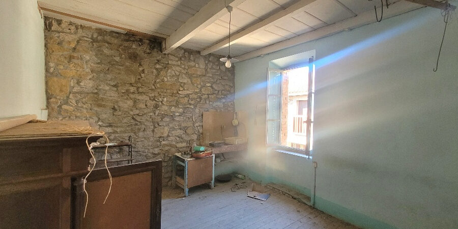 Maison à vendre à Mailhac — Vue nature — photo 11