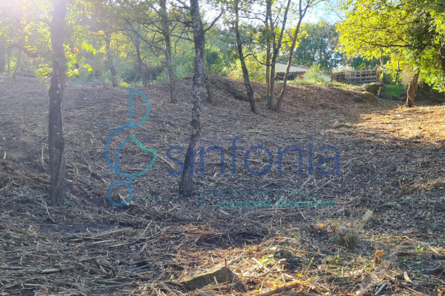 Terrain à vendre à Pougnadoresse — photo 7
