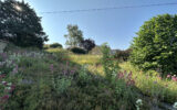 Terrain à vendre à Saint-Just-la-Pendue — Vue nature — photo 5