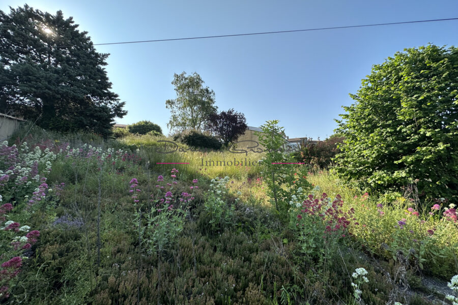 Terrain à vendre à Saint-Just-la-Pendue — Vue nature — photo 5
