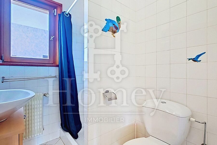 Maison à vendre à Viry — Vue dégagée — photo 16