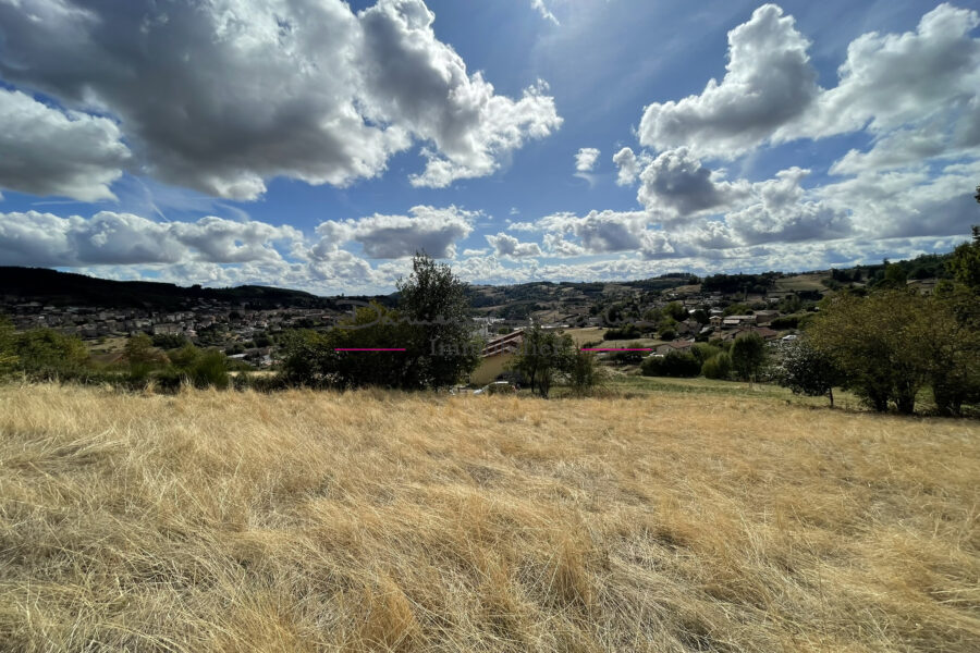 Terrain à vendre à Cours-la-Ville — Vue nature — photo 2