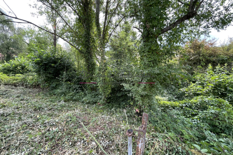 Terrain à vendre à Cours-la-Ville — Vue dégagée — photo 6