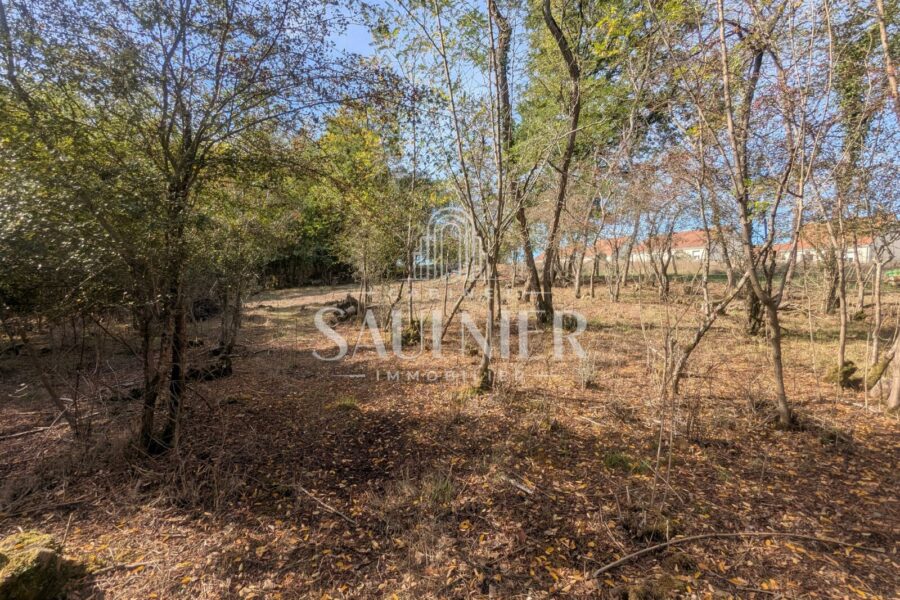 Terrain à vendre à Monthou-sur-Bièvre — Vue nature — photo 8