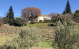 Maison à vendre à Bonnieux — Vue vignes — photo 2